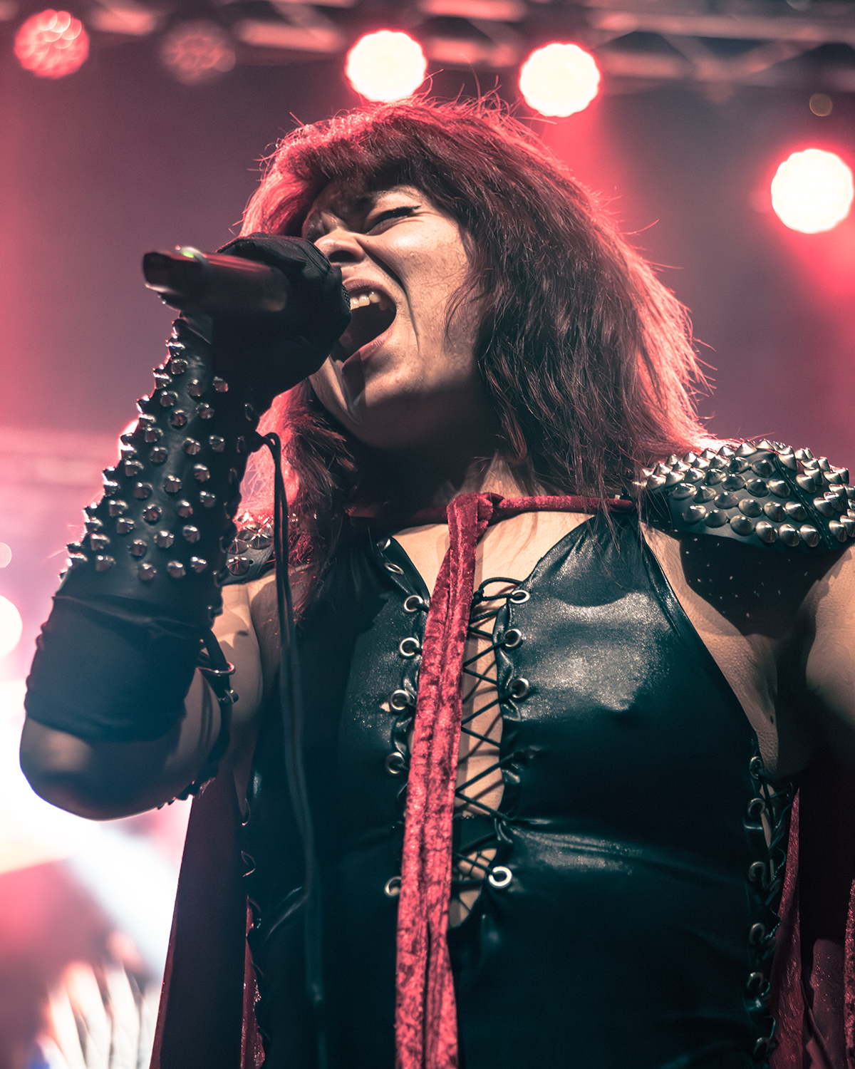 Dirkschneider - Balls to the Wall 40th Anniversary